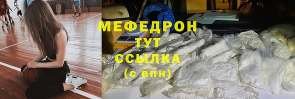 сатива Инта