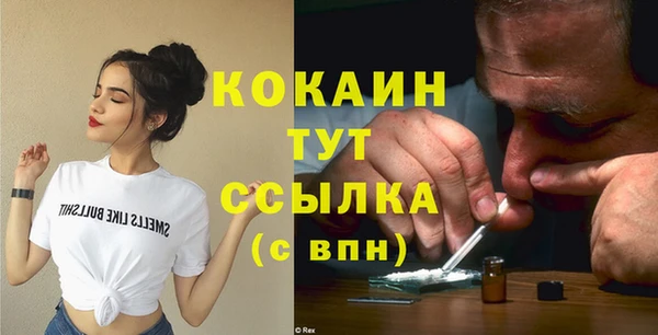 сатива Инта
