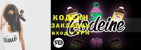 сатива Инта