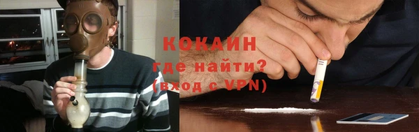 сатива Инта