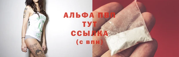 сатива Инта
