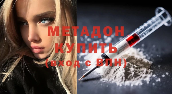 сатива Инта