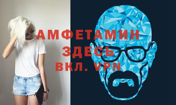 сатива Инта